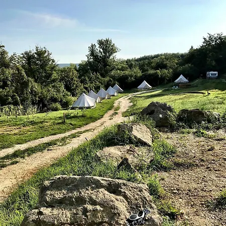 Glamp-inn Kamp alanı